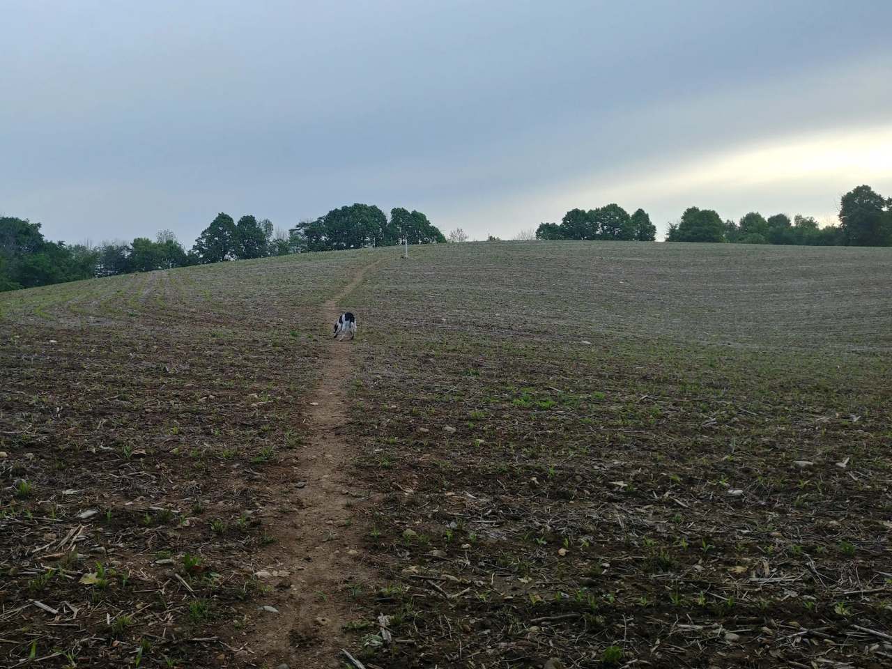 Ice Age Trail - Kewaskum Segment — photo 5
