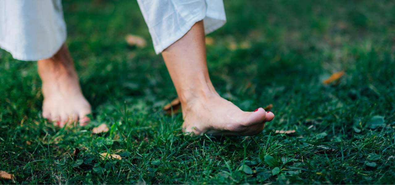 Soleshine Reflexology — photo 1