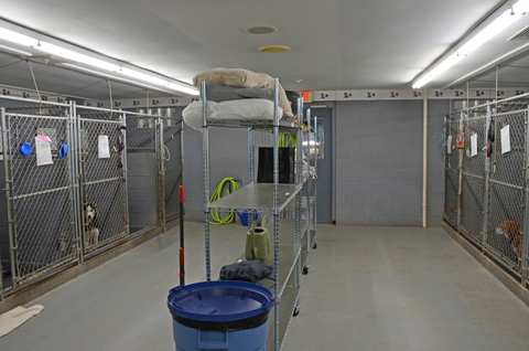 Countryaire Kennels, Inc. — photo 5