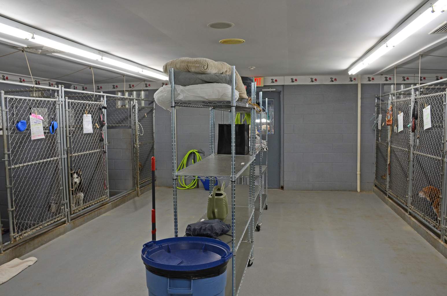 Countryaire Kennels, Inc. — photo 5