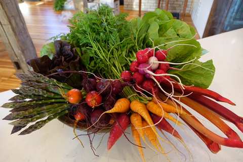 Stone Bank Farm Market — photo 2