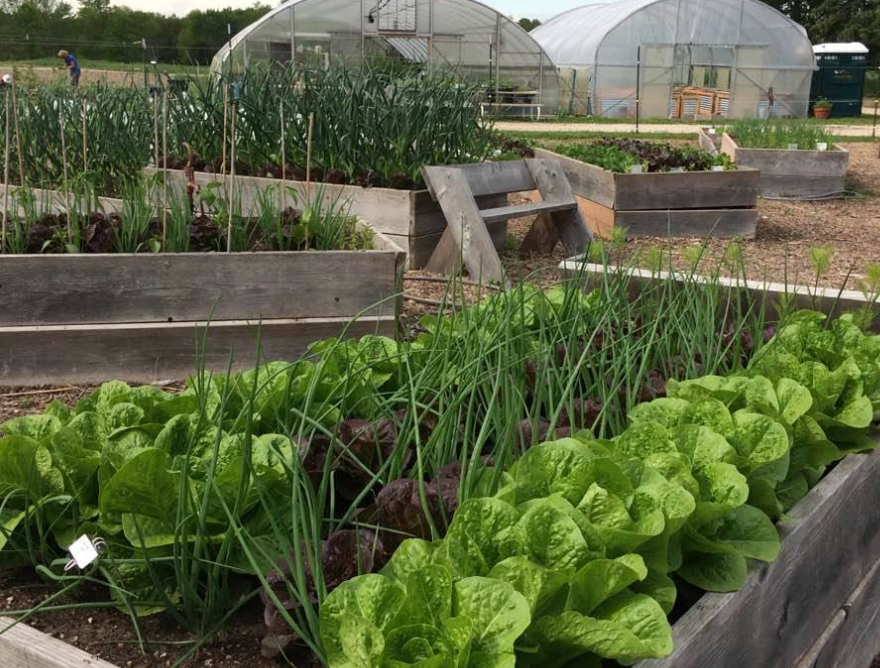 Stone Bank Farm Market — photo 5