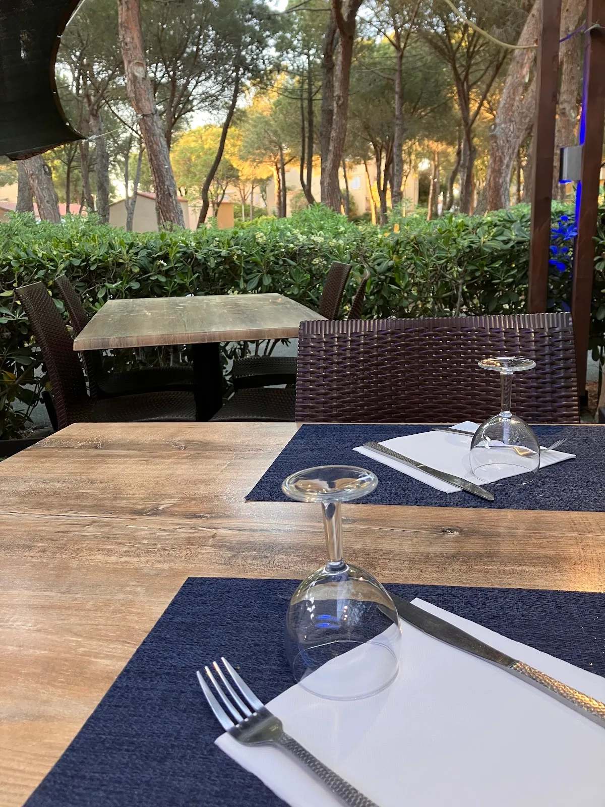 Le lamparo — photo 1