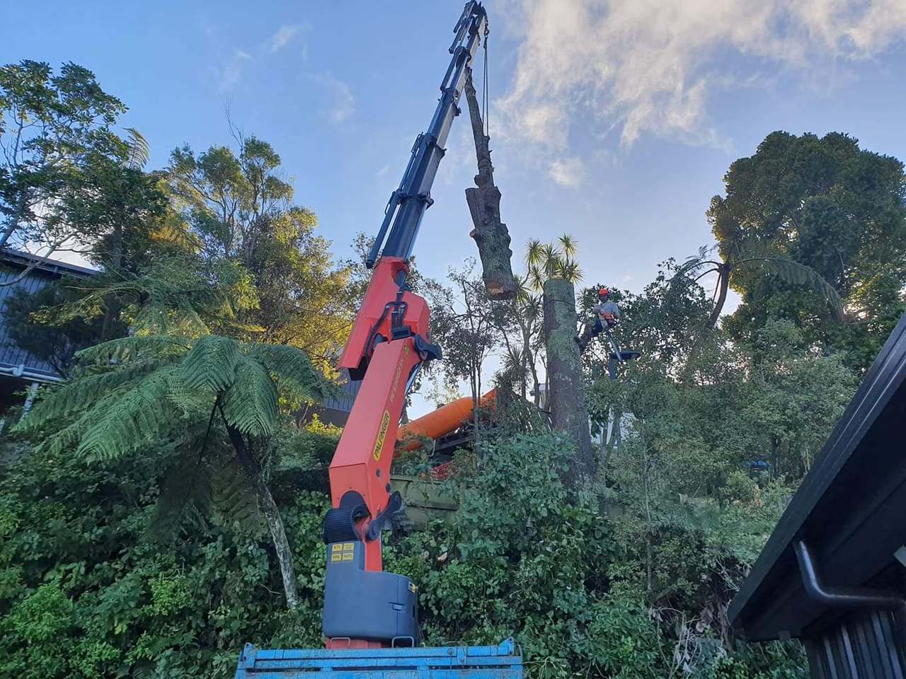 Arbormedic Tree Services — photo 1