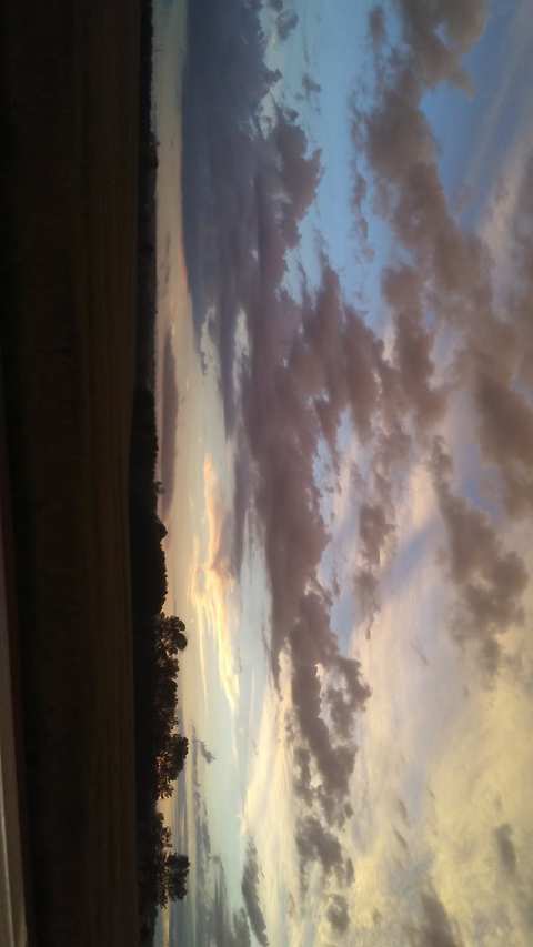 Lakewinds Elk Farms — photo 2
