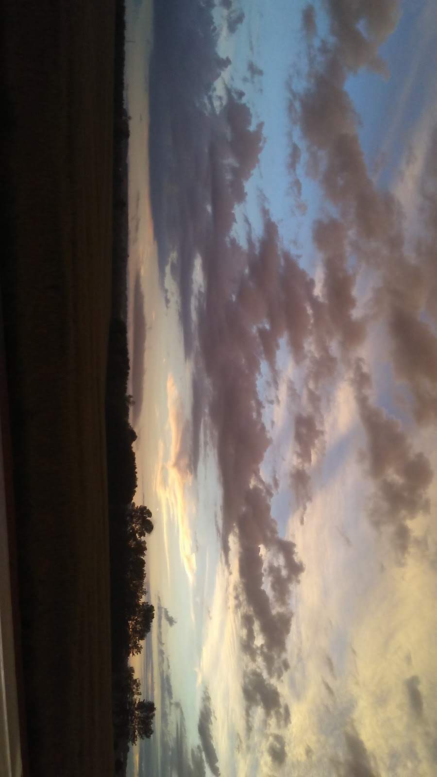 Lakewinds Elk Farms — photo 2