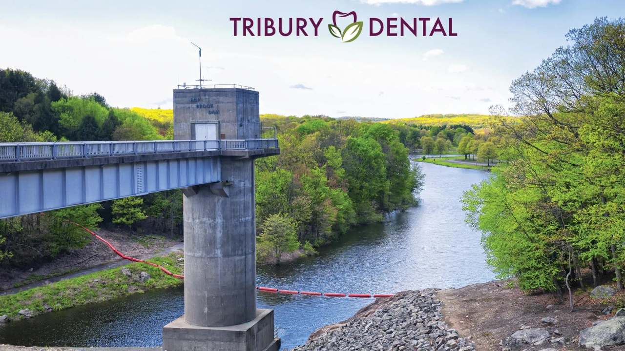 Tribury Dental — photo 1