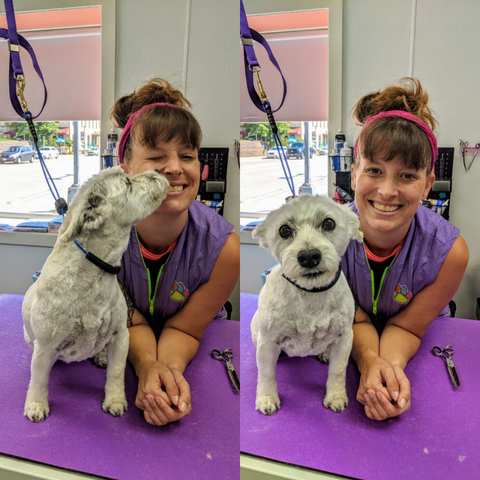 Ashley's Pampered Pets — photo 2