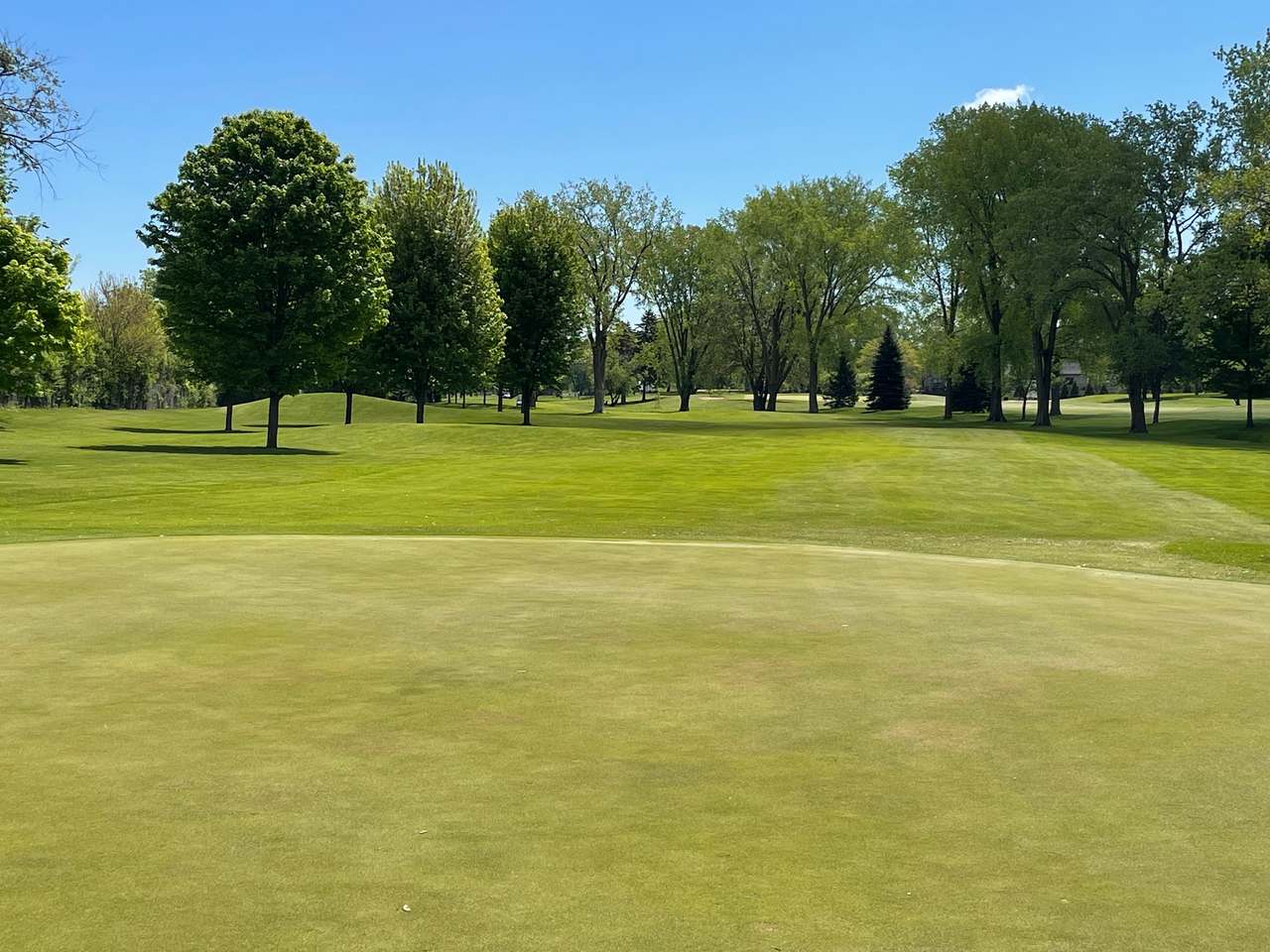 Brookfield Hills Golf Course — photo 1