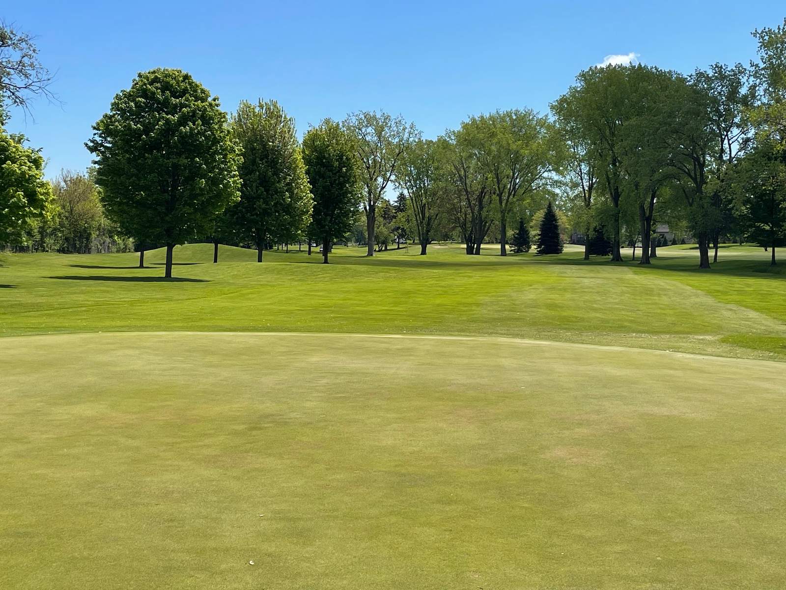 Brookfield Hills Golf Course — photo 1