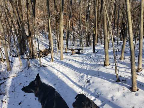 Polk Kames State Ice Age Trail Area (SIATA) — photo 4