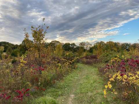 Polk Kames State Ice Age Trail Area (SIATA) — photo 5