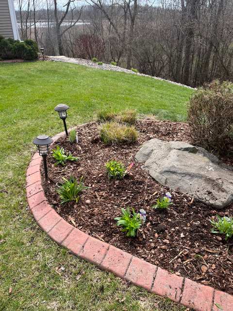 Just-In-Time Outdoor Services — photo 3