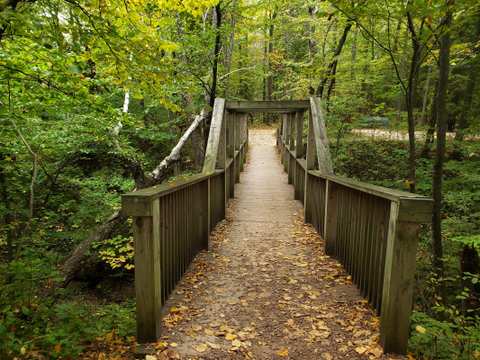 Lion's Den Gorge Nature Preserve — photo 3