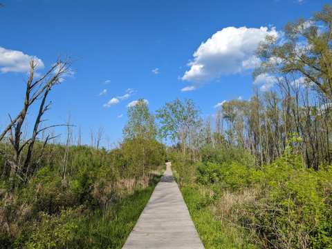 Lion's Den Gorge Nature Preserve — photo 4
