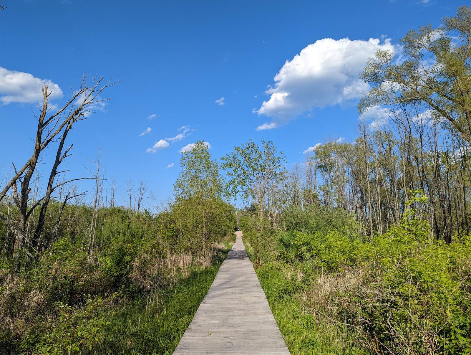 Lion's Den Gorge Nature Preserve — photo 4
