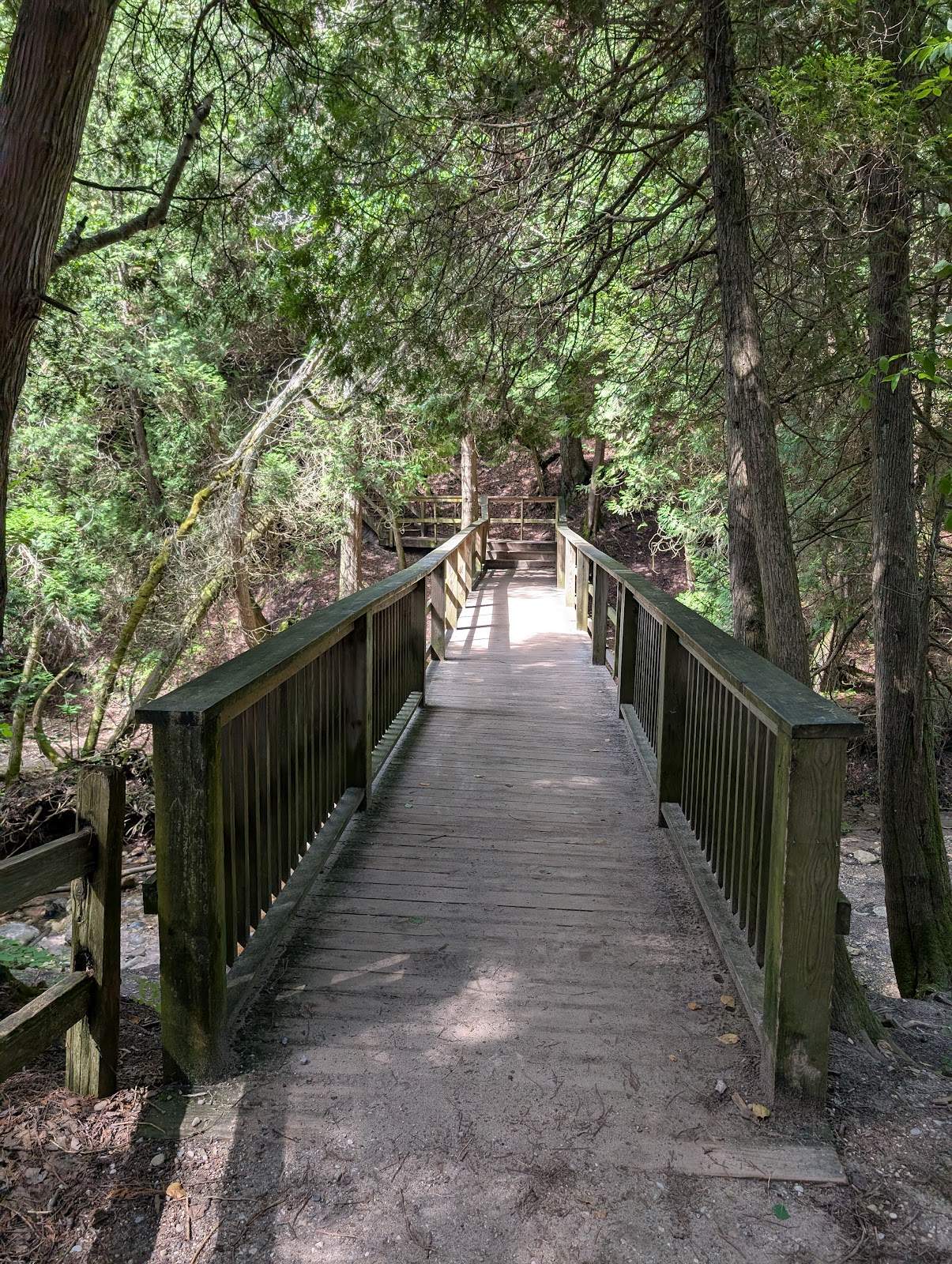 Lion's Den Gorge Nature Preserve — photo 5