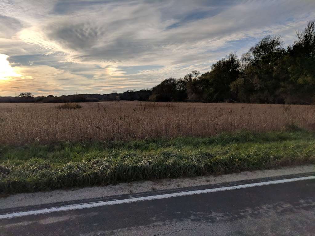 Lilly Lane Nature Preserve