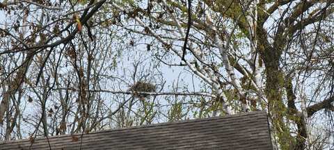 Lilly Lane Nature Preserve — photo 4