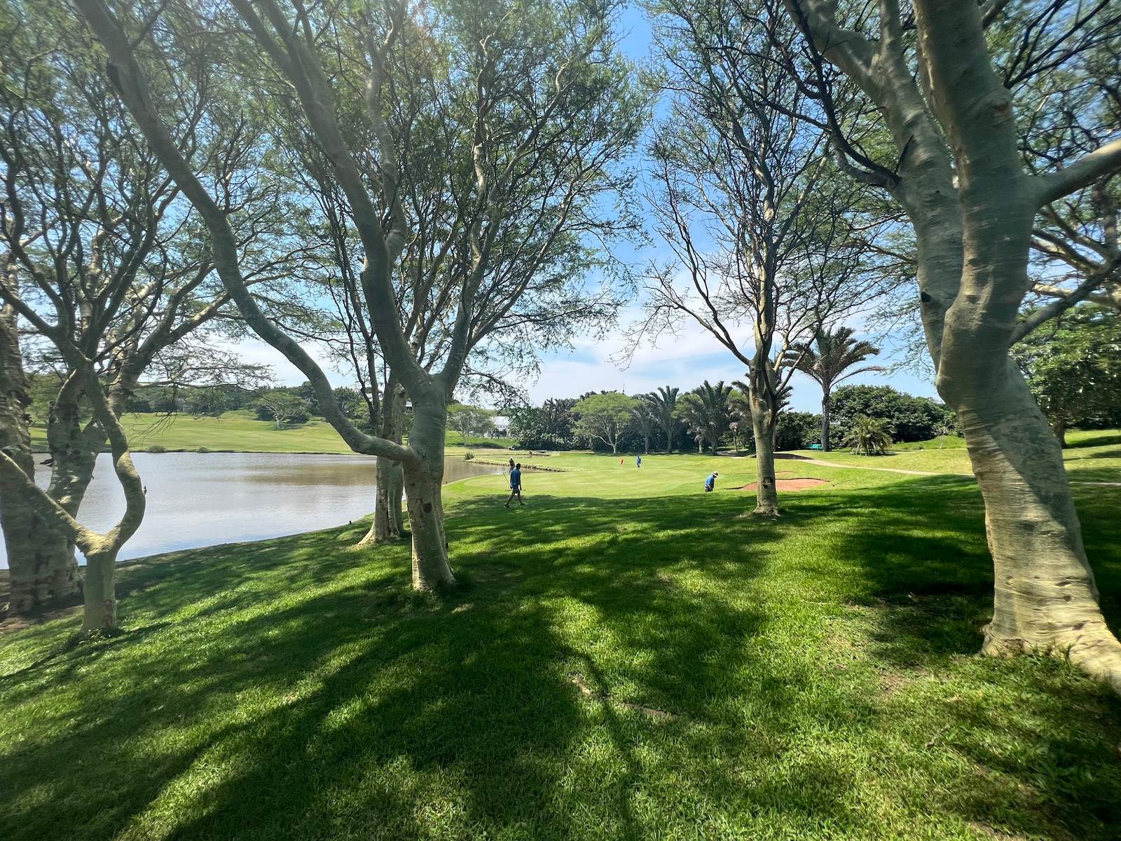 Prince's Grant Golf Club Restaurant — photo 5