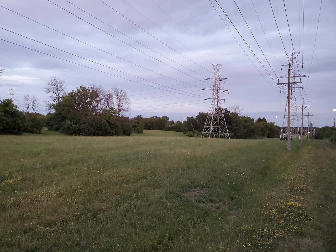 The Powerline Trail — photo 2