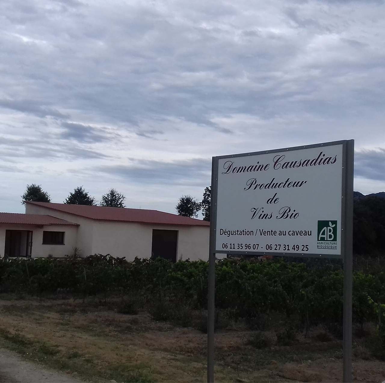 Point de vente du domaine Causadias — photo 5