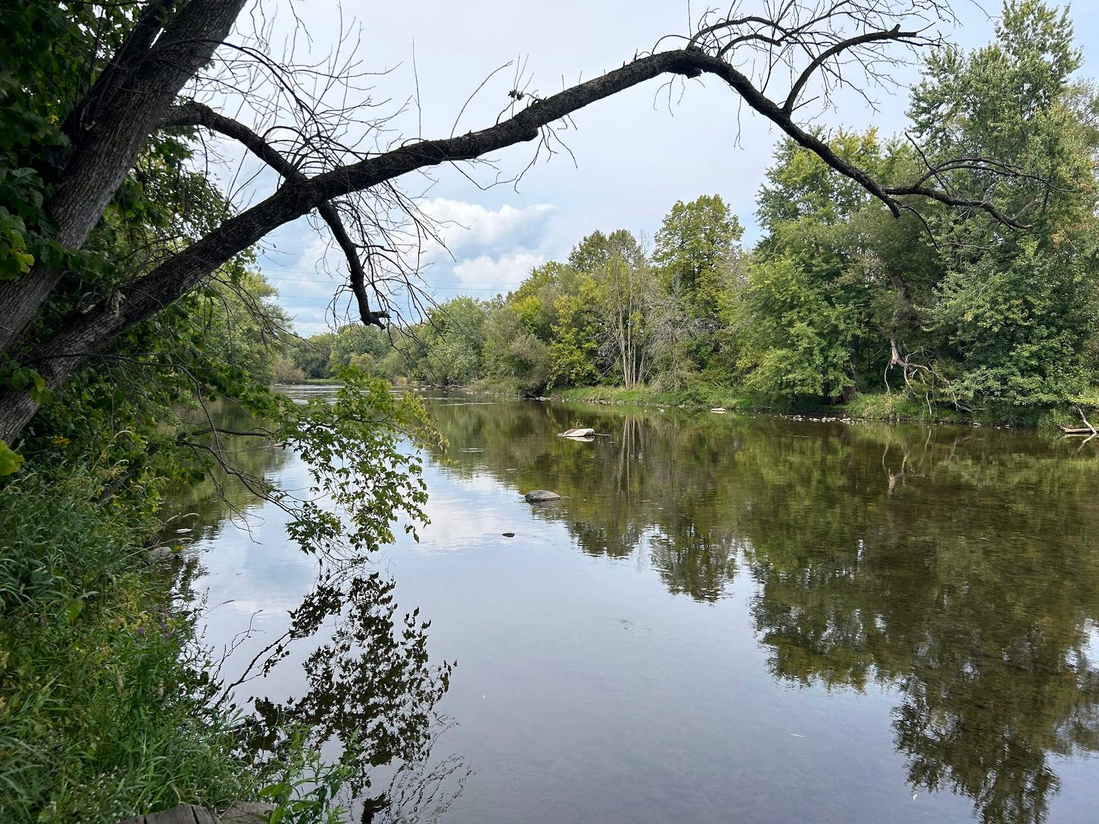 Tendick Nature Park — photo 6