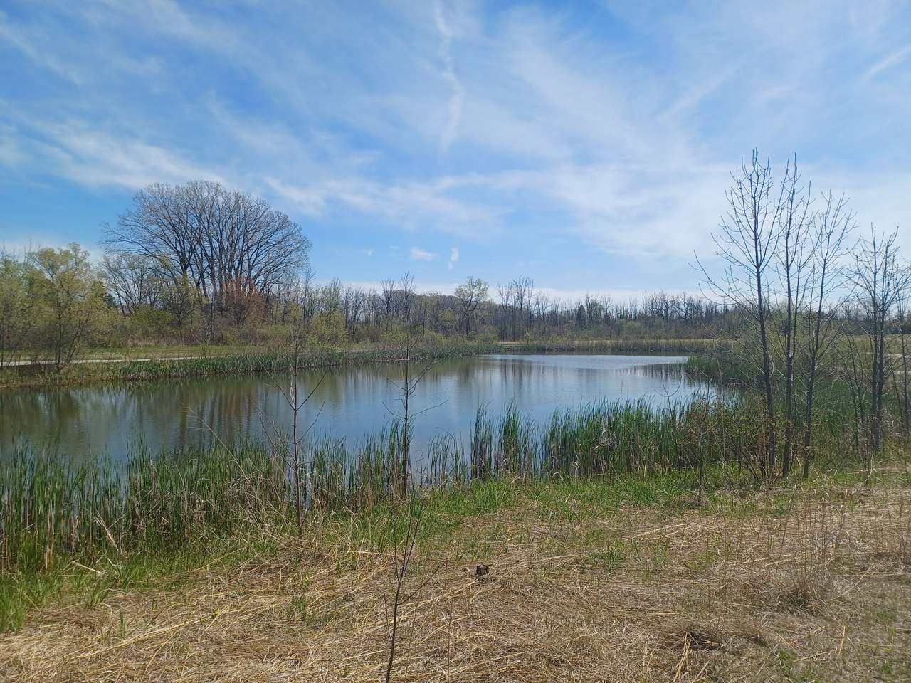 Tendick Nature Park — photo 7