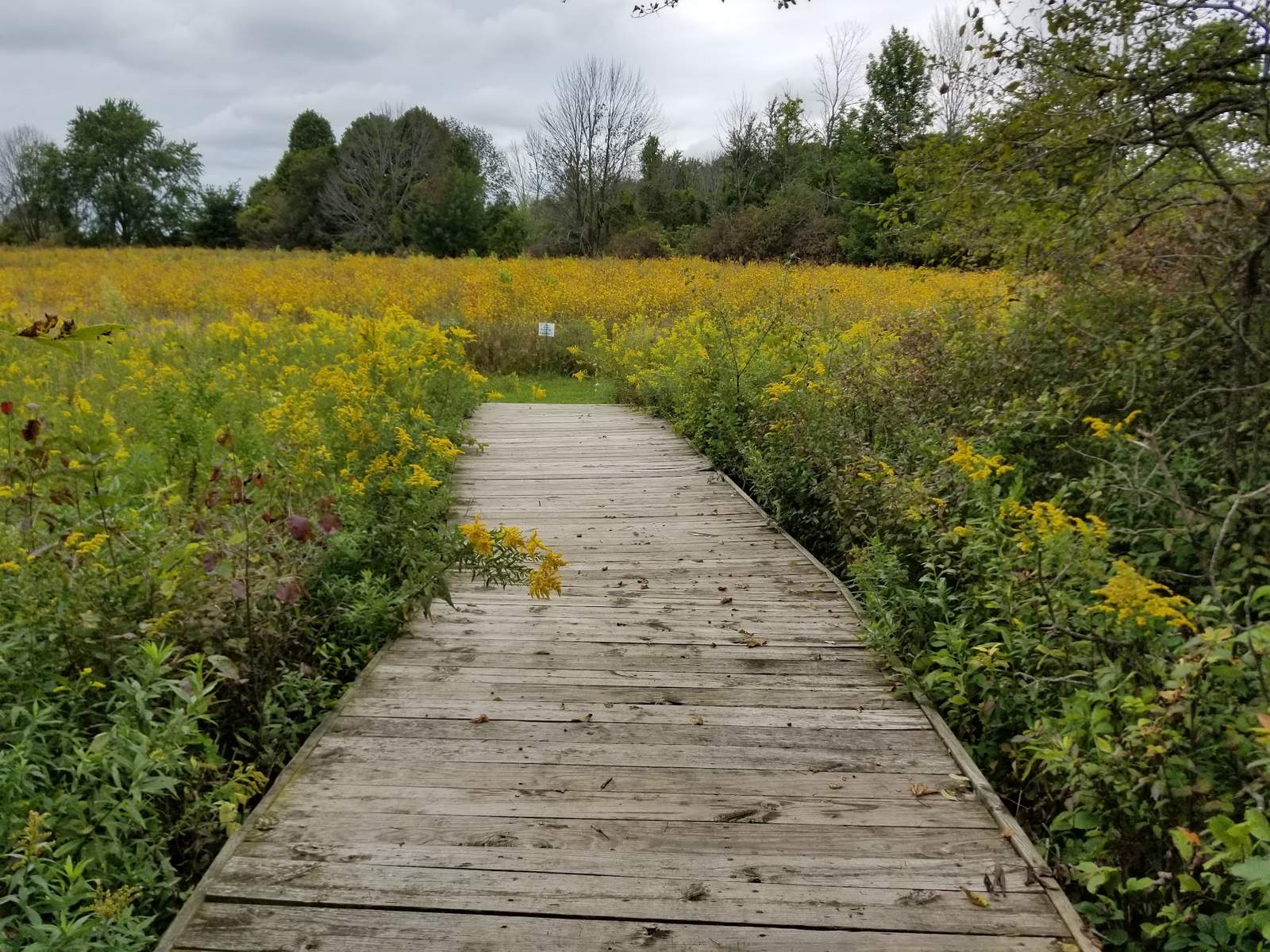 Tendick Nature Park — photo 9