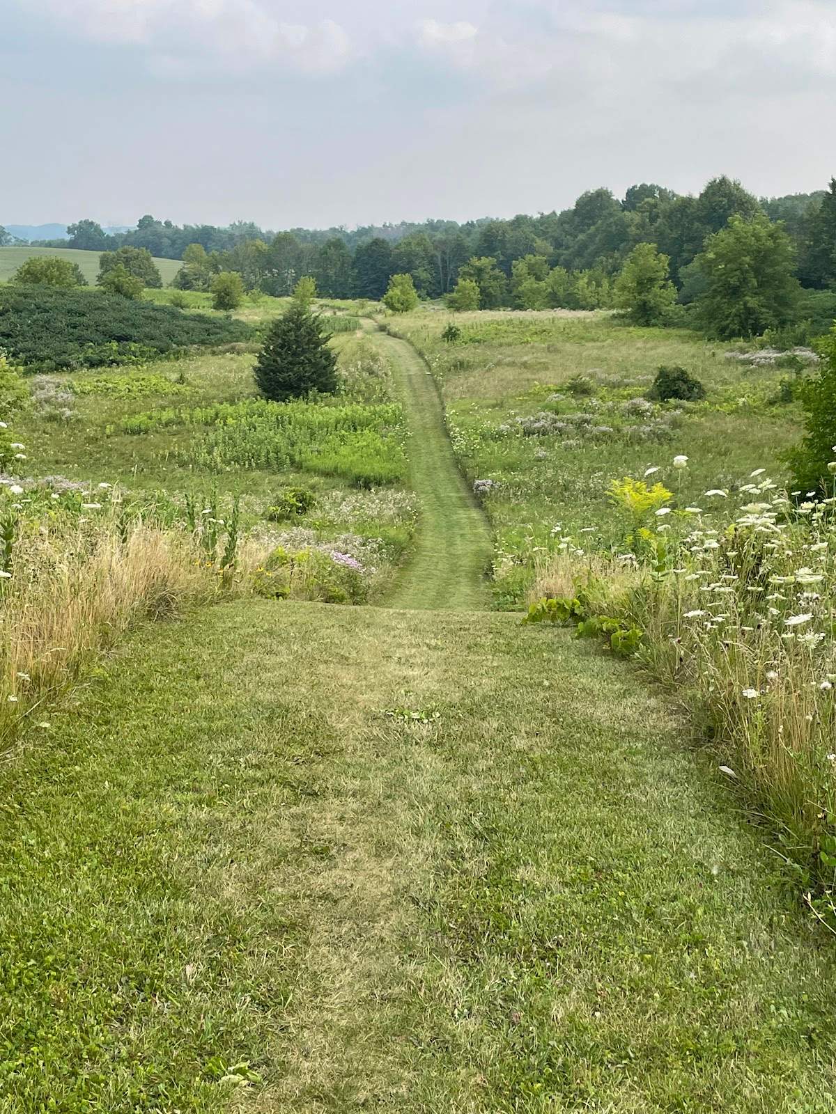 Big Cedar Lake Hiking Trails — photo 4