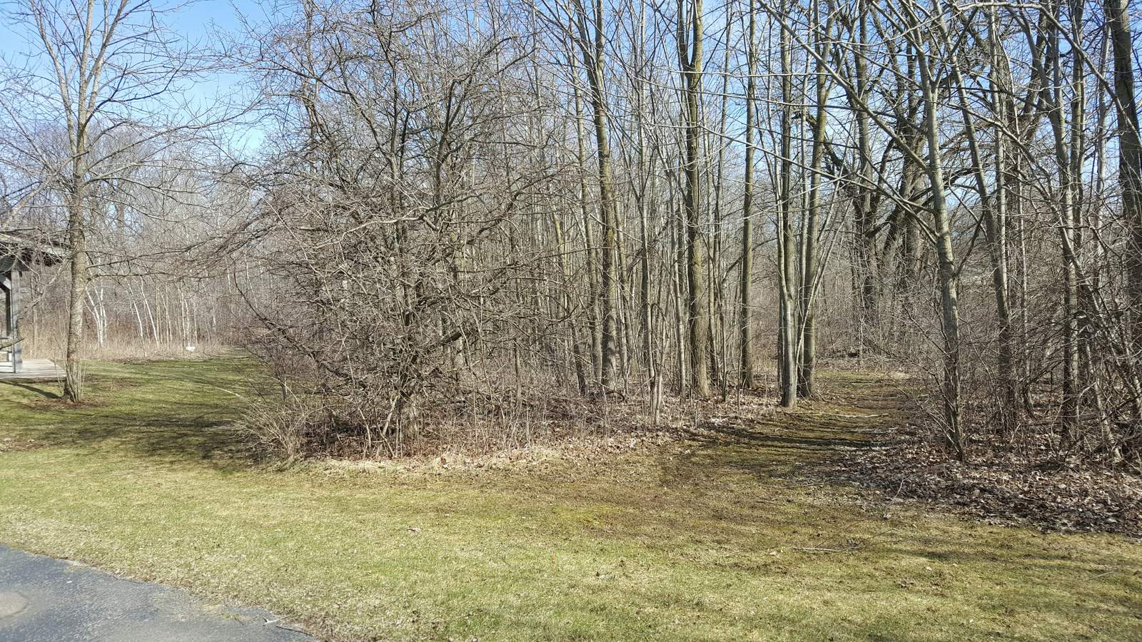 Goeden County Park — photo 4