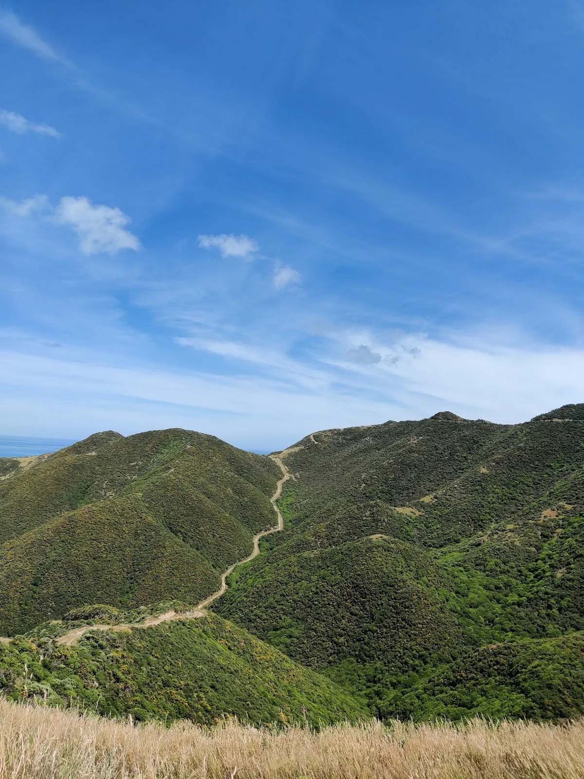 Tip Track — photo 2