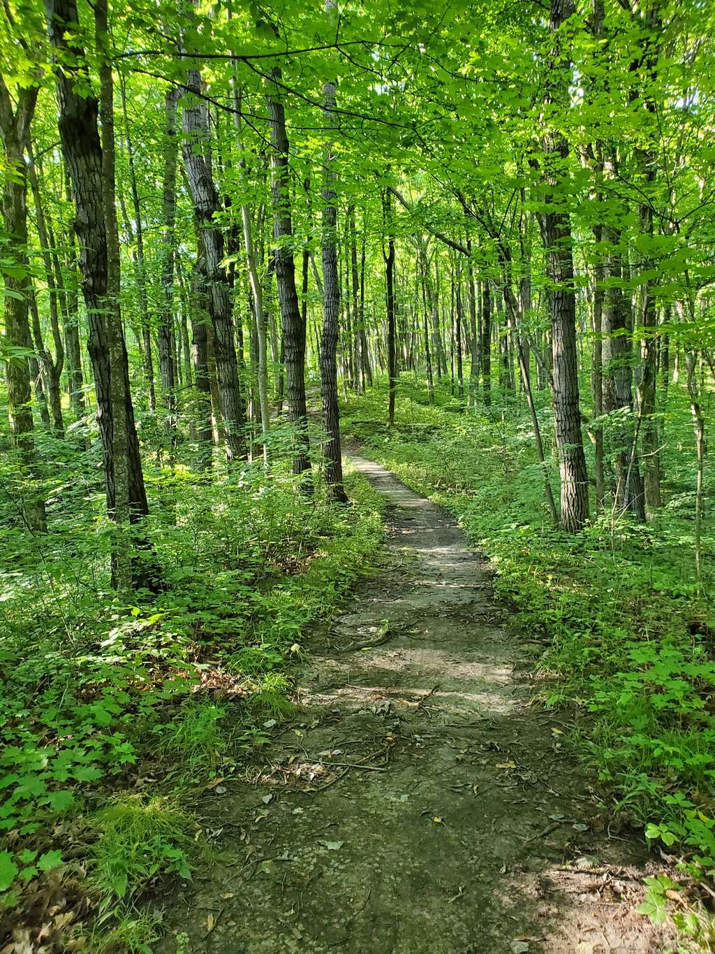 Ice Age Trail - West Bend Segment