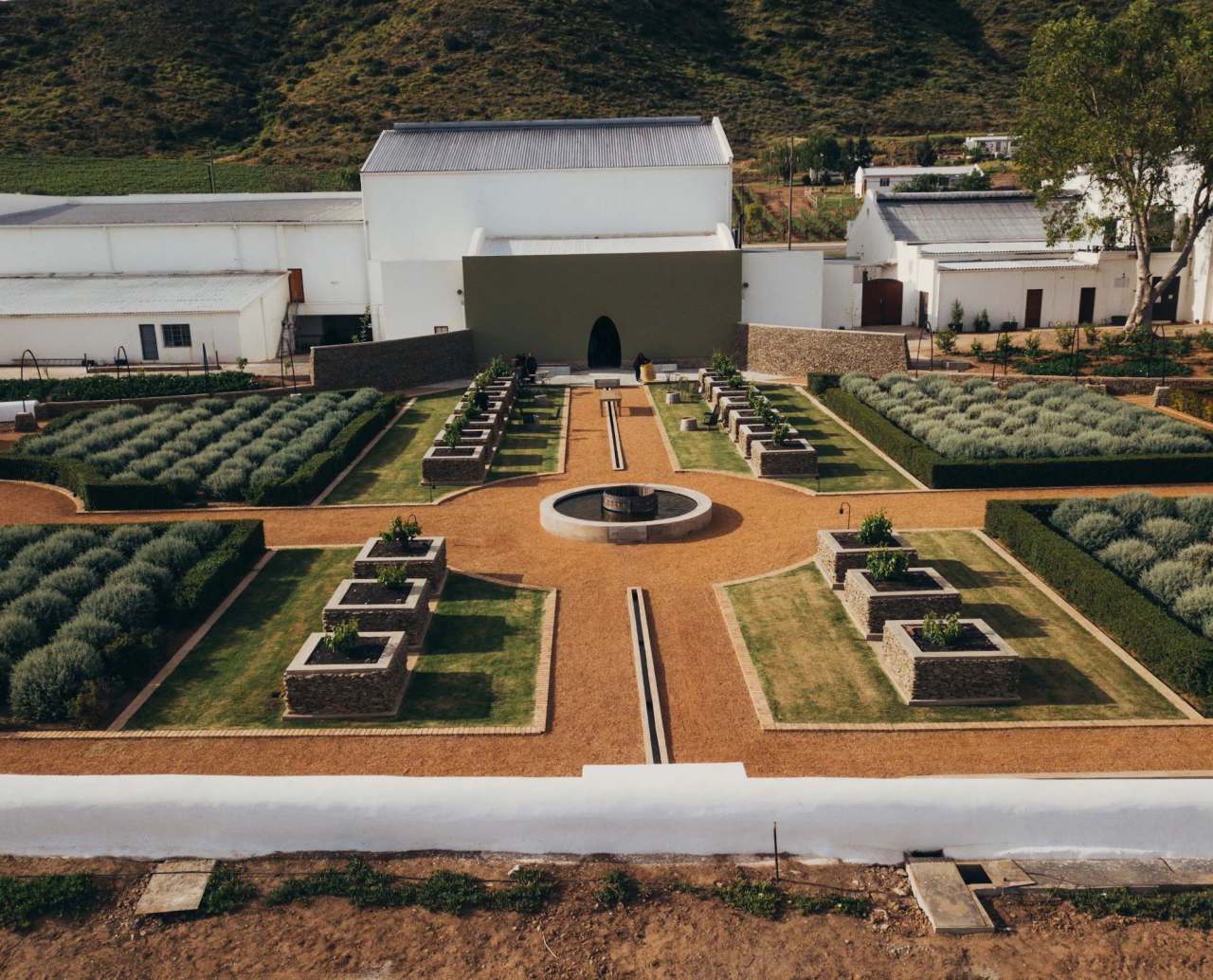 Weltevrede Wine Estate — photo 3