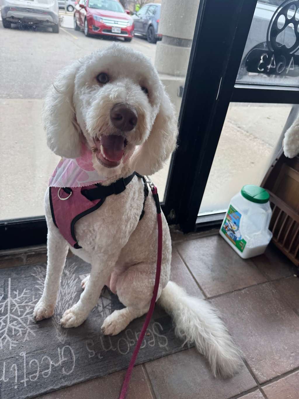 Luxury Pet Spa, LLC