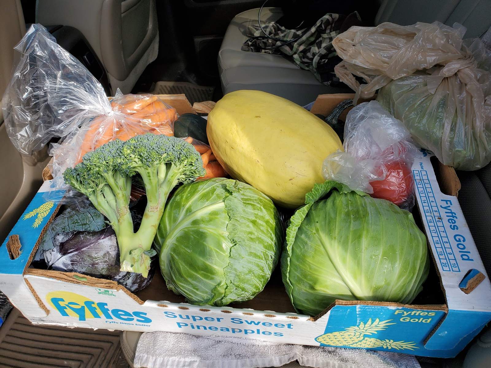 Saturday Hartford Farmer's Market — photo 3
