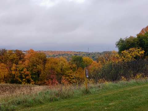 Holy Hill Art Farm — photo 4