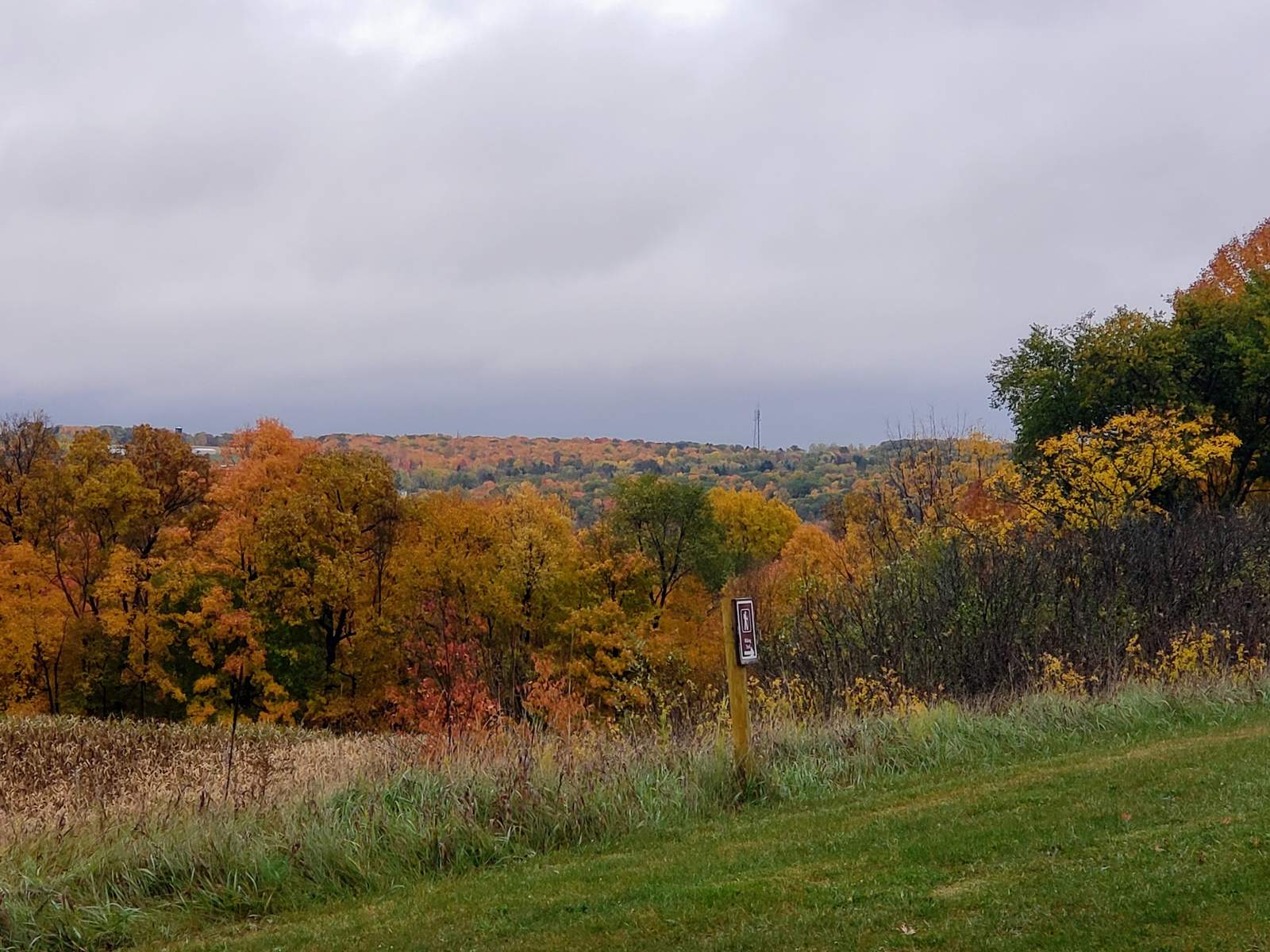Holy Hill Art Farm — photo 4