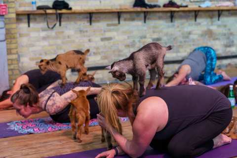 MKE Yoga Social — photo 2