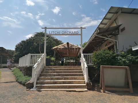 The Litchi Orchard. — photo 2
