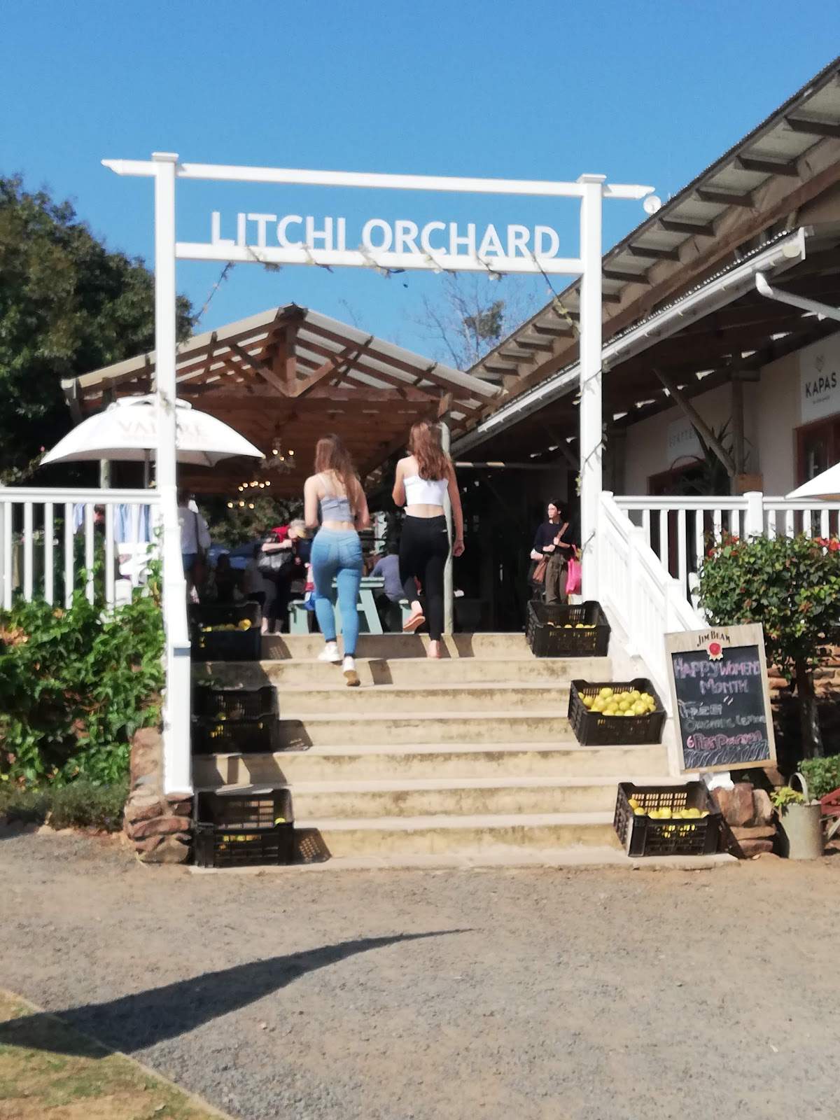 The Litchi Orchard. — photo 3