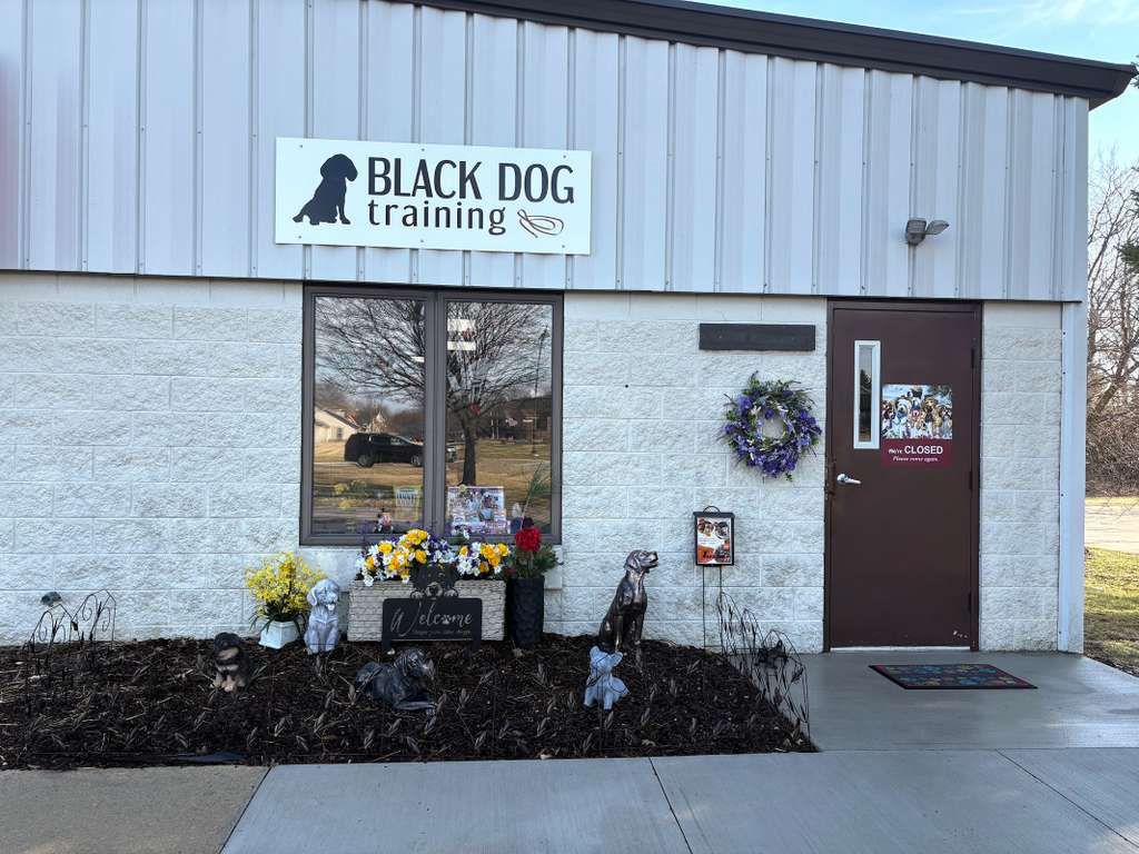 Pet Services