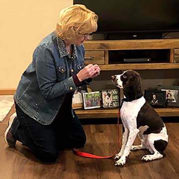 Black Dog Training LLC — photo 4