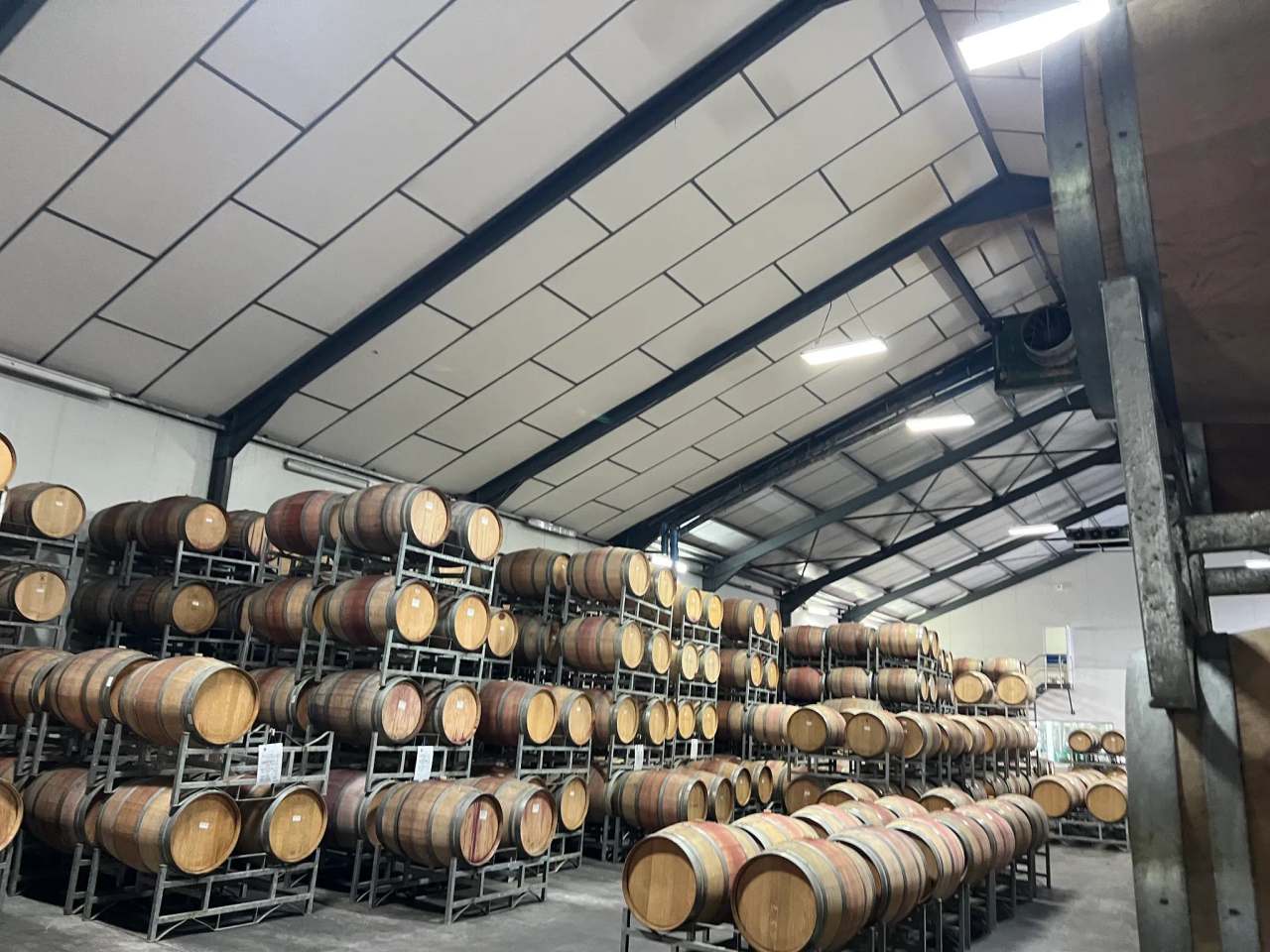 Wine tour Cape Town and Stellenbosch — photo 3