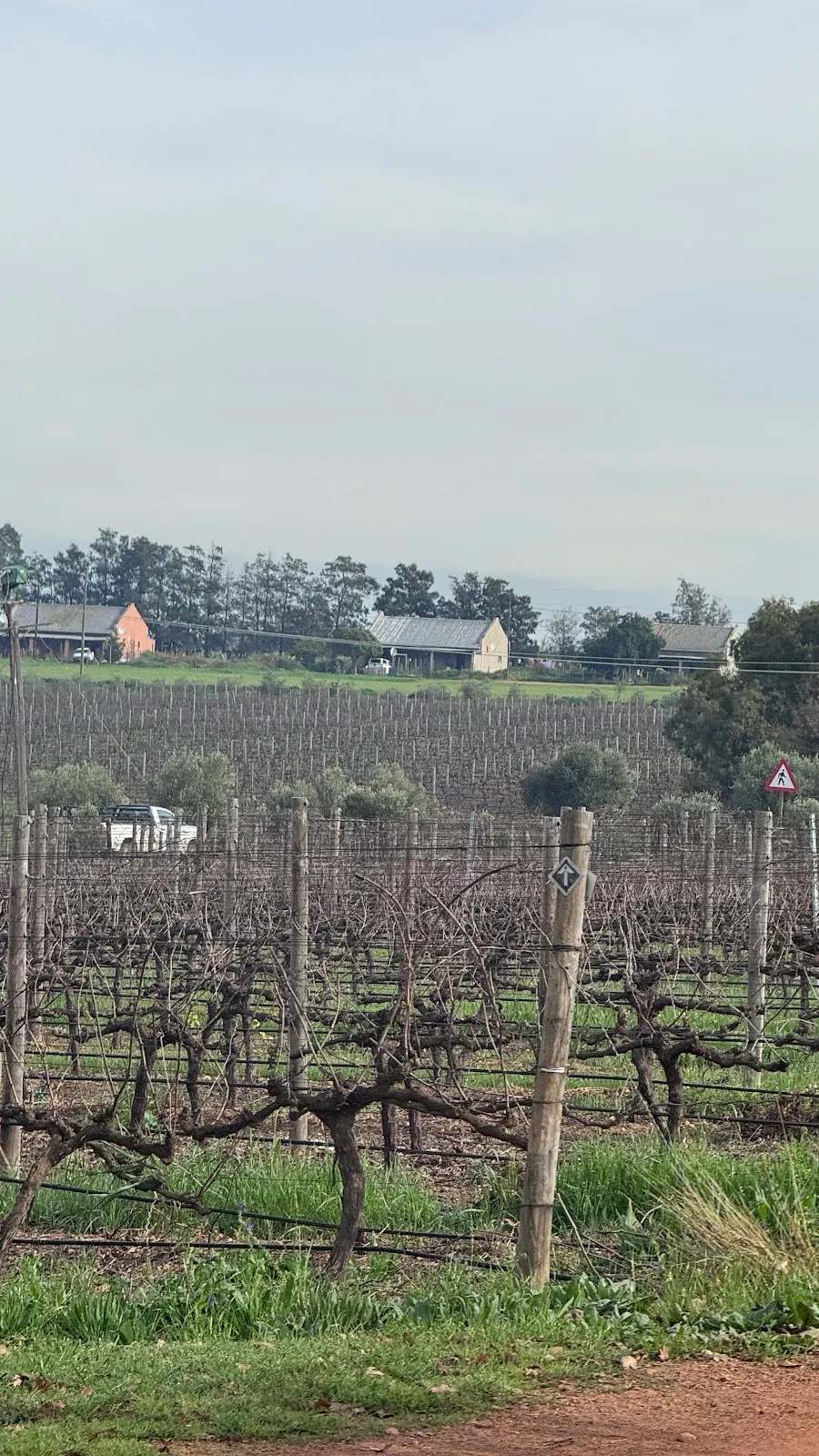 Wine tour Cape Town and Stellenbosch — photo 5