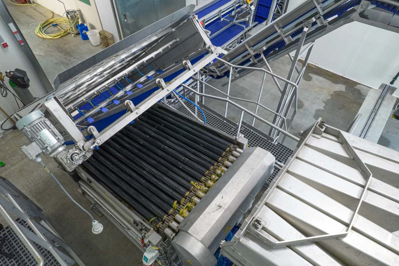PROEX FOOD, LLC — photo 1