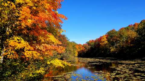 Ridge Run Park East — photo 3