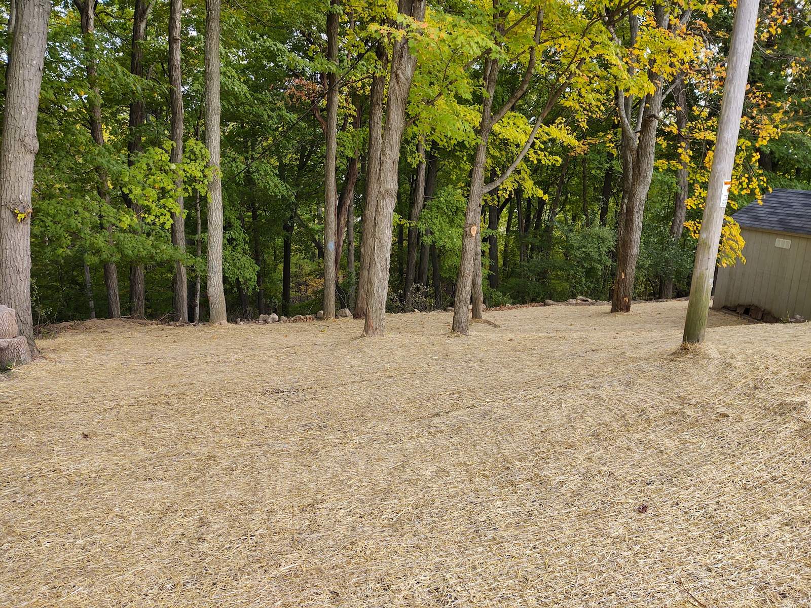 All Outdoors LLC — photo 5