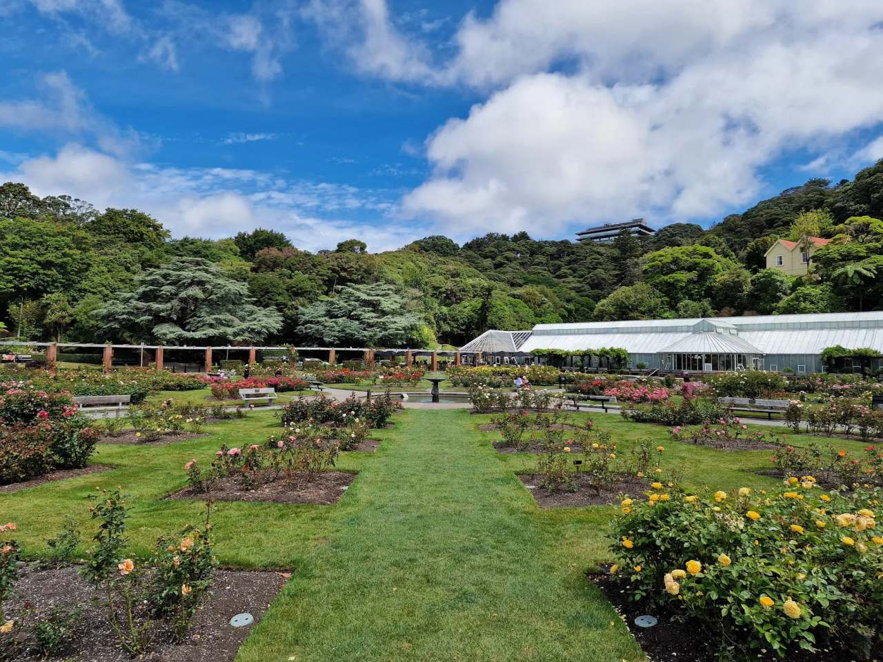 Wellington Botanic Garden — photo 1