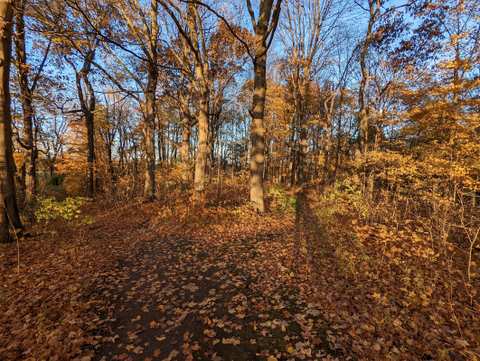 CLCF's Rudorf Farm — photo 2